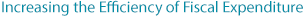 Increasing the Efficiency of Fiscal Expenditure